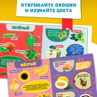 Книжка картонная с окошками «Цвета», 10 стр. - Фото 3