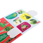 Книжка картонная с окошками «Цвета», 10 стр. - фото 3802953