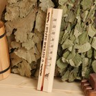 Термометр для бани и сауны ТБС-41 (t 0 + 140 С) в блистере - Фото 3