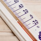 Термометр для бани и сауны ТСС-2Б «Баня», в пакете - Фото 9