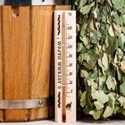 Термометр для бани и сауны ТБС-41 (t 0 + 140 С) в пакете - Фото 1