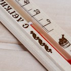 Термометр для бани и сауны ТБС-41 (t 0 + 140 С) в пакете - Фото 3