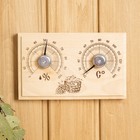 Станция банная открытая «Прямоугольная», СБО-2ТГ (t 0+140 С; RH 0% - 100%) - Фото 1