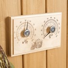 Станция банная открытая «Прямоугольная», СБО-2ТГ (t 0+140 С; RH 0% - 100%) - Фото 2