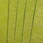 Фоамиран "Зелёный блеск" 2 мм формат А4 (набор 5 листов) - Фото 3