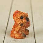Сувенир полистоун "Маленький щеночек" МИКС 4,3х3,5х3 см - Фото 3