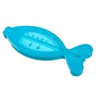 Термометр для измерения температуры воды, детский «Рыбка», цвет МИКС - фото 42833249