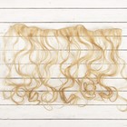 Волосы - тресс для кукол «Кудри» длина волос: 40 см, ширина: 50 см, № 24 - фото 3803076