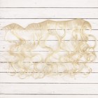 Волосы - тресс для кукол «Кудри» длина волос: 40 см, ширина:50 см, №88 - фото 3803088