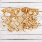 Волосы - тресс для кукол «Кудри» длина волос: 40 см, ширина: 50 см, №27 - фото 8330700