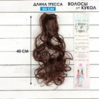 Волосы - тресс для кукол «Кудри» длина волос: 40 см, ширина: 50 см, №6А - фото 5769060