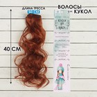 Волосы - тресс для кукол «Кудри» длина волос: 40 см, ширина:50 см, №13 - фото 108324297