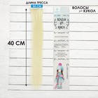 Волосы - тресс для кукол «Прямые» длина волос: 40 см, ширина: 50 см, №613А - фото 3678148