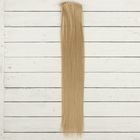 Кукольные волосы-тресс «Прямые» длина волос: 40 см, ширина:50 см, №16 - фото 108324314
