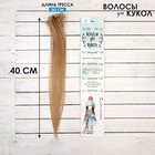Волосы-тресс для кукол «Прямые» длина волос: 40 см, ширина: 50 см, №18 - фото 317991403