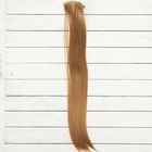 Волосы - тресс для кукол «Прямые» длина волос: 40 см, ширина:50 см, №27А - Фото 1