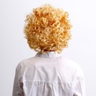Карнавальный парик «Модель», обхват головы 56-58 см, 120 г - Фото 3