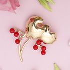 Брошь «Веточка ягодная», цвет красный в золоте - Фото 1