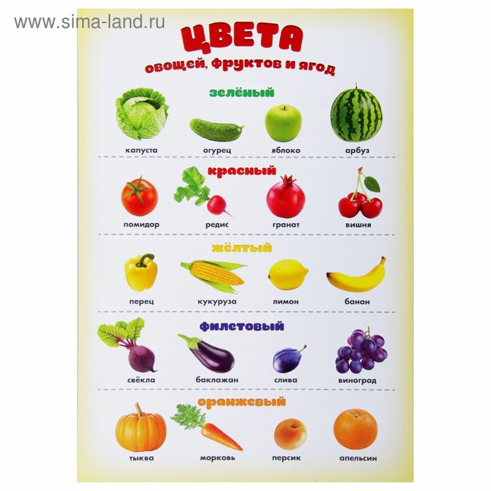 Обучающий плакат "Фрукты, ягоды и овощи" А4 - Фото 1
