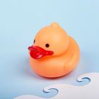 Игрушка для ванны «Утка», с пищалкой, цвет МИКС - Фото 5