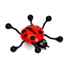 Липучка «Жучок», сползает по стеклу, цвета МИКС - Фото 2