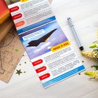 Мини-энциклопедия «Самолёты, вертолёты», 20 стр. - Фото 3