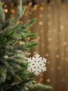 Ёлочные игрушки набор 2 шт. «Зимнее волшебство. Белая снежинка», d=9.5 см - Фото 1