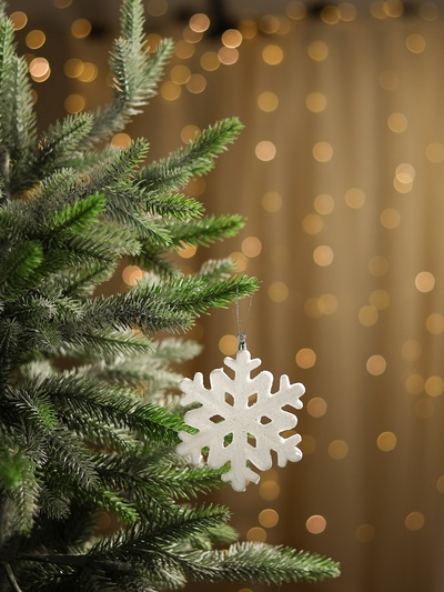 Ёлочные игрушки набор 2 шт. «Зимнее волшебство. Белая снежинка», d=9.5 см