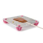 Набор для приготовления леденцов и мармелада «Китти», цвет МИКС - Фото 7