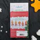 Набор для приготовления леденцов и мармелада «Медведь», цвет МИКС - Фото 11