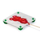 Набор для приготовления леденцов и мармелада «Медведь», цвет МИКС - Фото 3