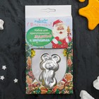 Набор для приготовления леденцов и мармелада «Медведь», цвет МИКС - Фото 10