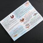 Набор для приготовления леденцов и мармелада «Петух», цвет МИКС - Фото 4