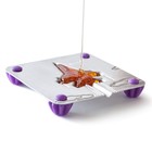 Набор для приготовления леденцов и мармелада «Самолёт», цвет МИКС - Фото 3