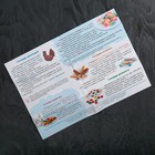 Набор для приготовления леденцов и мармелада «Самолёт», цвет МИКС - Фото 11