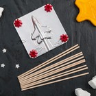 Набор для приготовления леденцов и мармелада «Самолёт», цвет МИКС - Фото 1