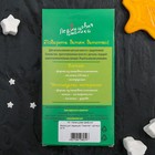 Набор для приготовления леденцов и мармелада «Самолёт», цвет МИКС - Фото 9