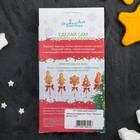 Набор для приготовления леденцов и мармелада «Петух большой», цвет МИКС - Фото 10