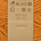 Пряжа "Секрет успеха" 100% шерсть 250м/100гр (447-Горчица) - Фото 3