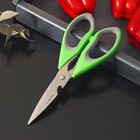 Ножницы кухонные Доляна «Гари», 22 см, цвет зелёный - фото 5769253
