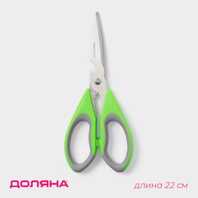 Ножницы кухонные Доляна «Гари», 22 см, цвет зелёный