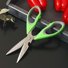 Ножницы кухонные Доляна «Гари», 22 см, цвет зелёный - фото 4574843