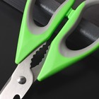 Ножницы кухонные Доляна «Гари», 22 см, цвет зелёный - фото 4574844
