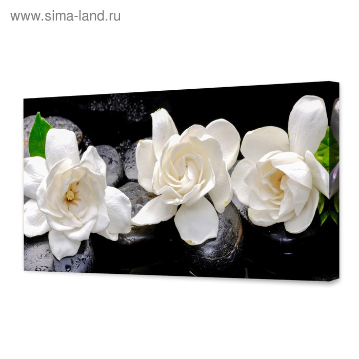 Картина на холсте "Белые цветы" 50х100 см - Фото 1