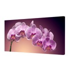 Картина на холсте" Ветка орхидеи" 50*100 см - фото 318627545