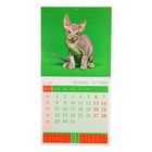 Календарь на скрепке "Весёлые котята - 2018 год" 30х30см - Фото 2