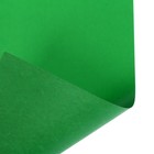 Картон цветной двусторонний Calligrata «Тигруля», А4, 8 листов, 8 цветов, глянцевый, мелованный - Фото 7