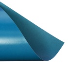 Картон цветной двусторонний Calligrata «Тигруля», А4, 8 листов, 8 цветов, глянцевый, мелованный - Фото 5