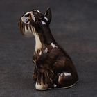 Статуэтка фарфоровая "Миттельшнауцер черно-белый", 8 см, авторская роспись - Фото 4