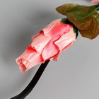 Декор тинги "Орешник" 150 см, (фасовка 5 шт, цена за 1шт) микс (комплект 5 шт) - фото 20733141